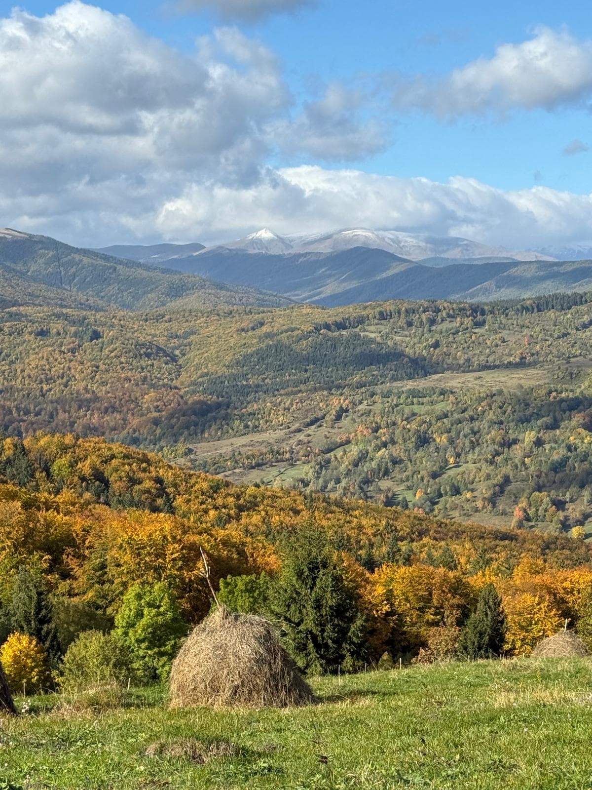 Cadru natural Munții Baiului primăvara — Secăria, Prahova